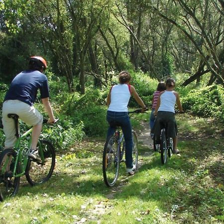 Maison De Campagne Cosy Et Calme Roz-sur-Couesnon Εξωτερικό φωτογραφία